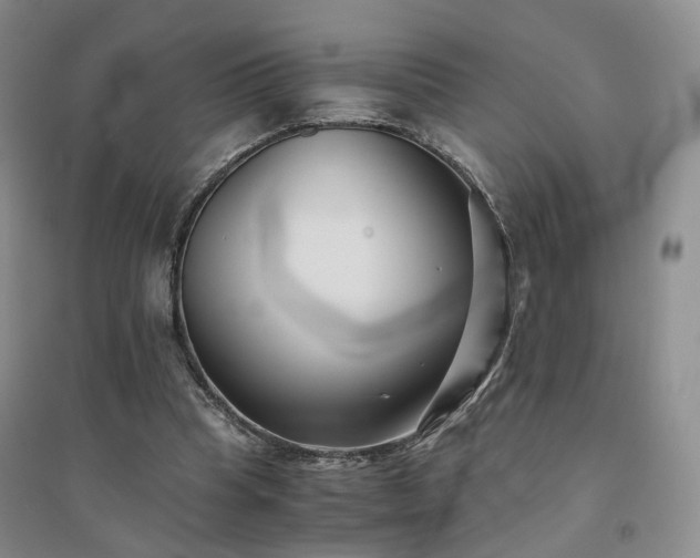 X0000094430345200711151347