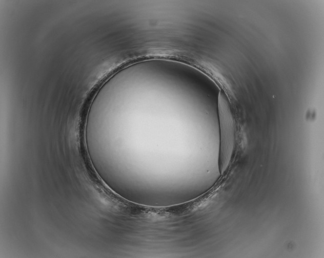 X0000094430346200711151347