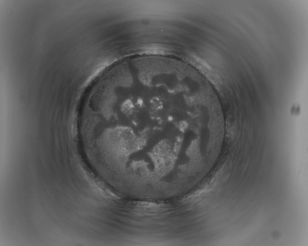 X0000094430347200711151347