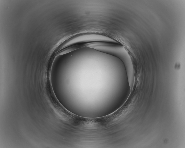 X0000094430348200711151347