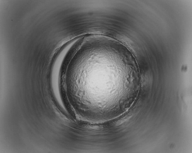 X0000094430349200711151347
