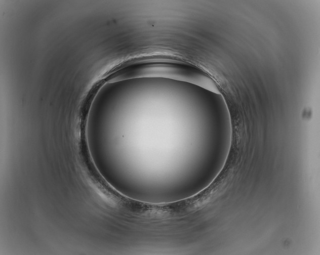 X0000094430350200711151347
