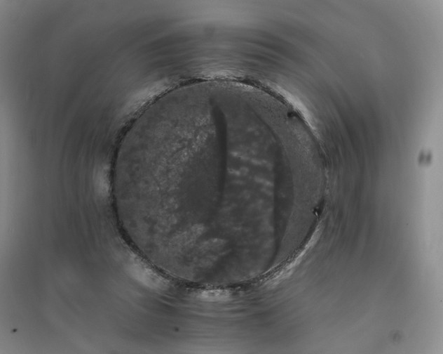 X0000094430353200711151347