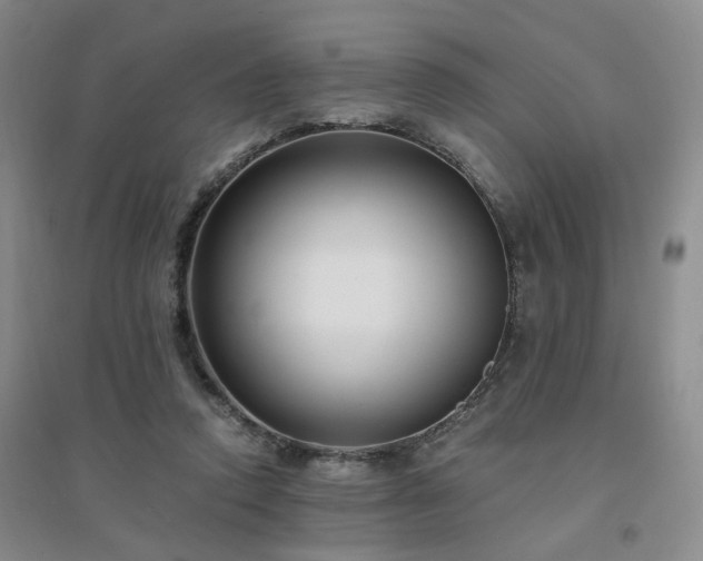 X0000094430354200711151347