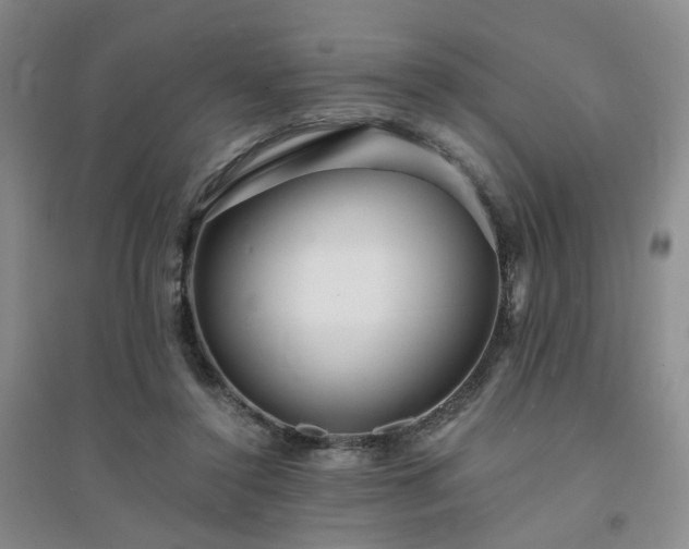 X0000094430356200711151347
