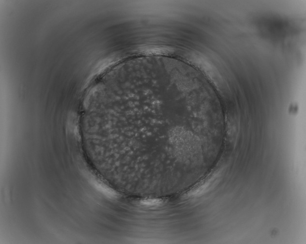 X0000094430357200711151347