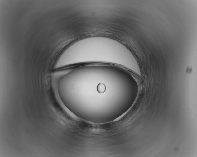 X0000094430360200711151347