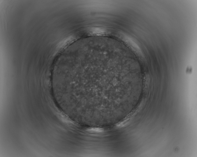X0000094430361200711151347