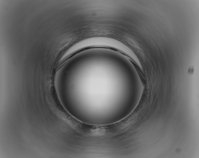 X0000094430362200711151347