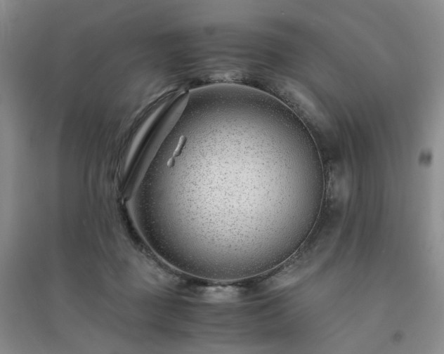 X0000094430363200711151347