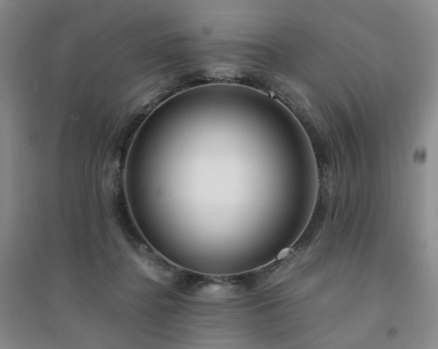 X0000094430364200711151347