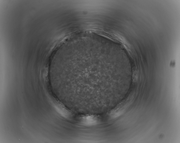 X0000094430365200711151347