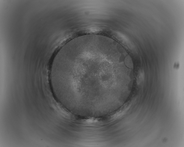 X0000094430366200711151347