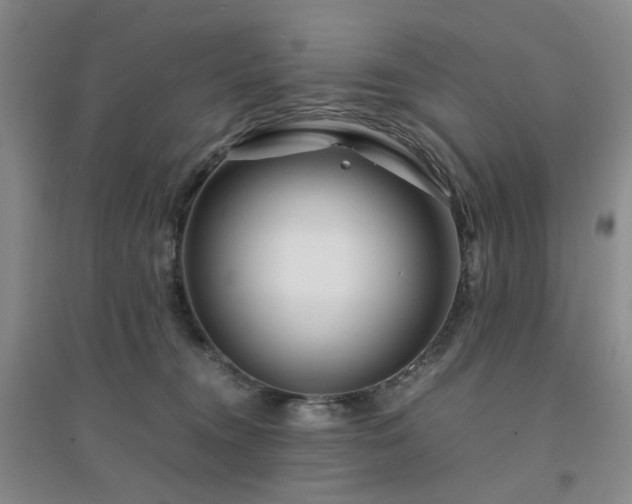 X0000094430372200711151347