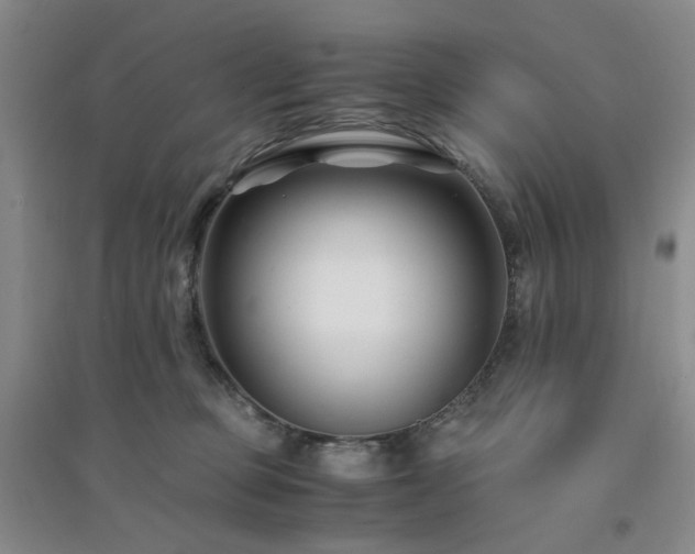 X0000094430373200711151347