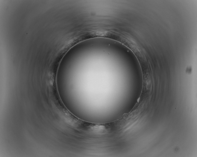 X0000094430374200711151347
