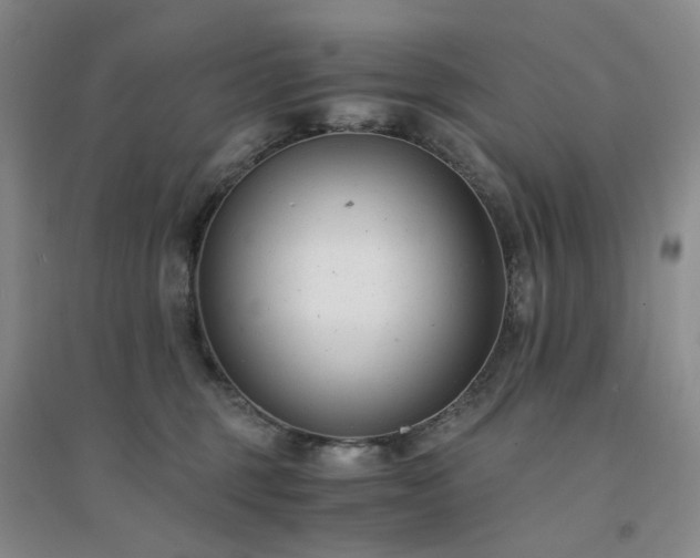 X0000094430375200711151347
