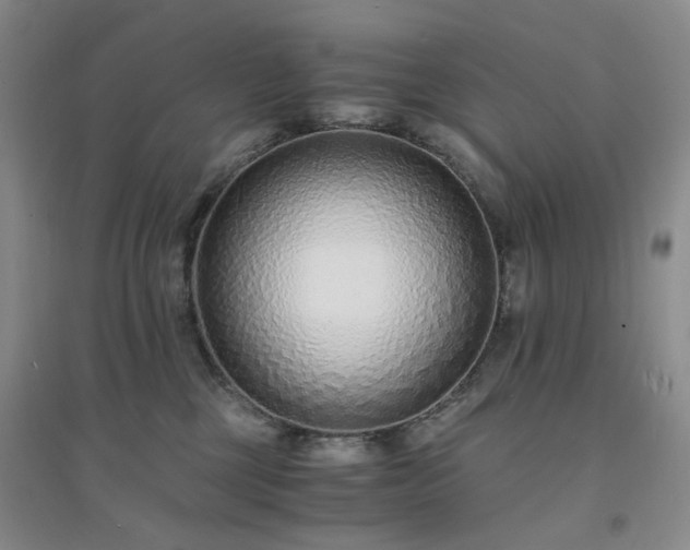 X0000094430377200711151347