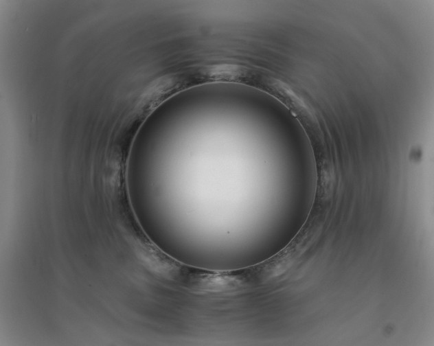 X0000094430379200711151347
