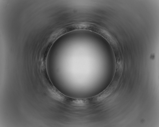 X0000094430381200711151347