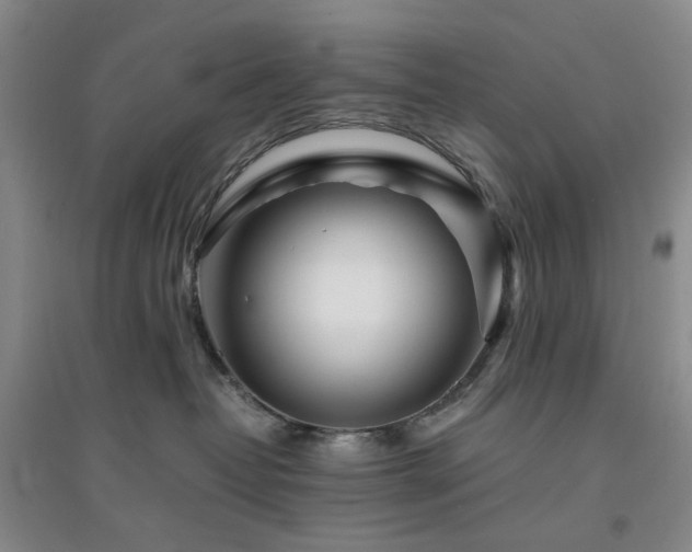 X0000094430382200711151347