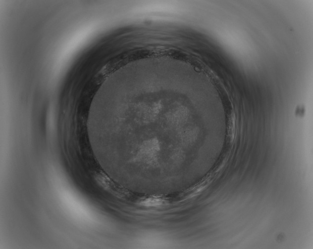 X0000094430383200711151347
