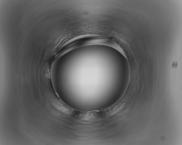 X0000094430384200711151347