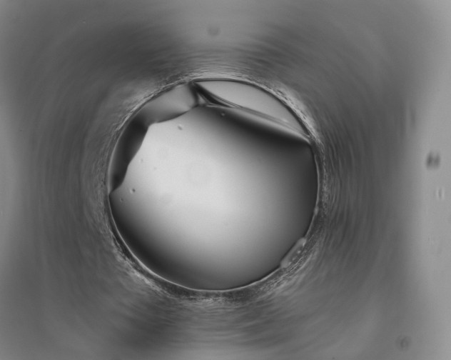 X0000094430385200711151347