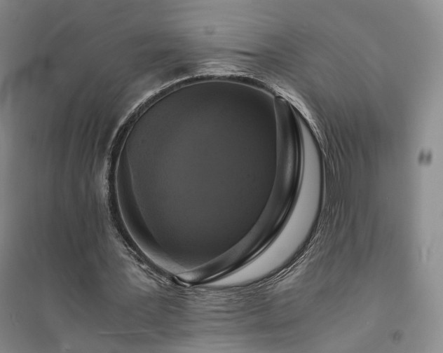 X0000094430387200711151347