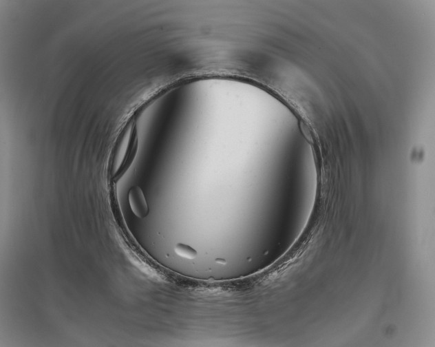 X0000094430389200711151347
