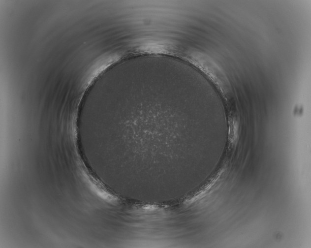 X0000094430390200711151347