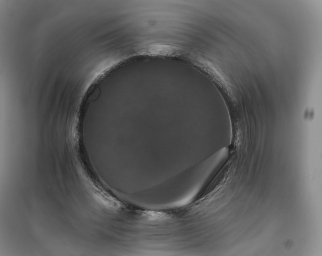 X0000094430392200711151347