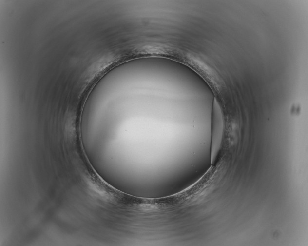 X0000094430394200711151347