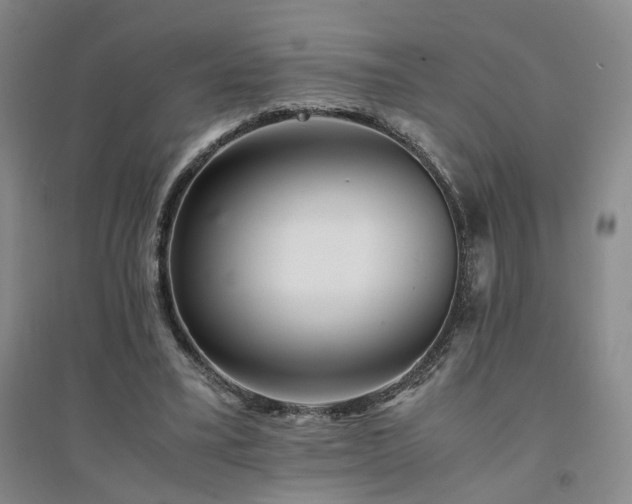 X0000094430395200711151346
