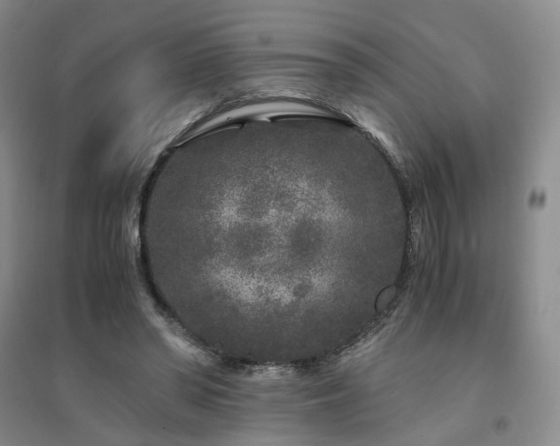 X0000094430398200711151346