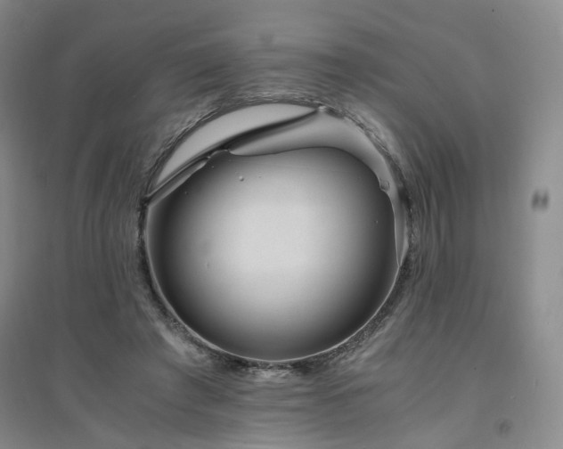 X0000094430401200711151346