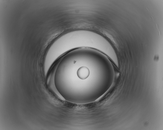X0000094430403200711151346