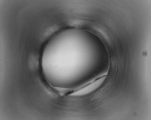 X0000094430404200711151346