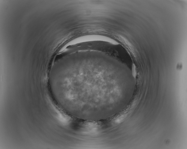 X0000094430405200711151346
