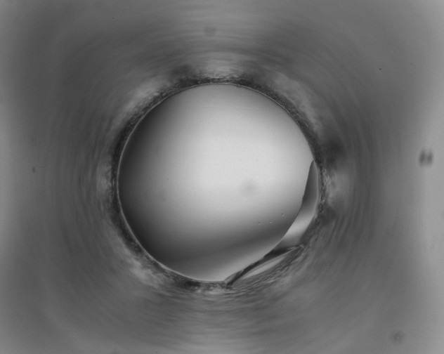 X0000094430407200711151346