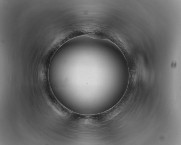 X0000094430408200711151346