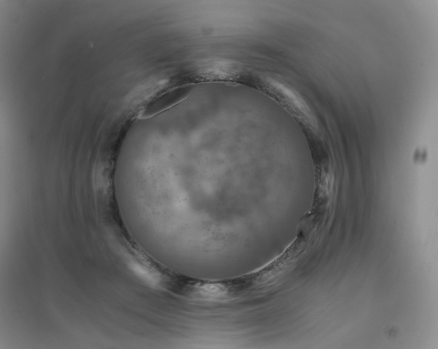 X0000094430409200711151346
