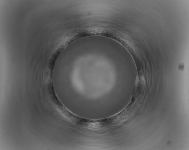X0000094430411200711151346