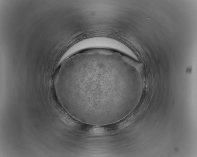 X0000094430413200711151346