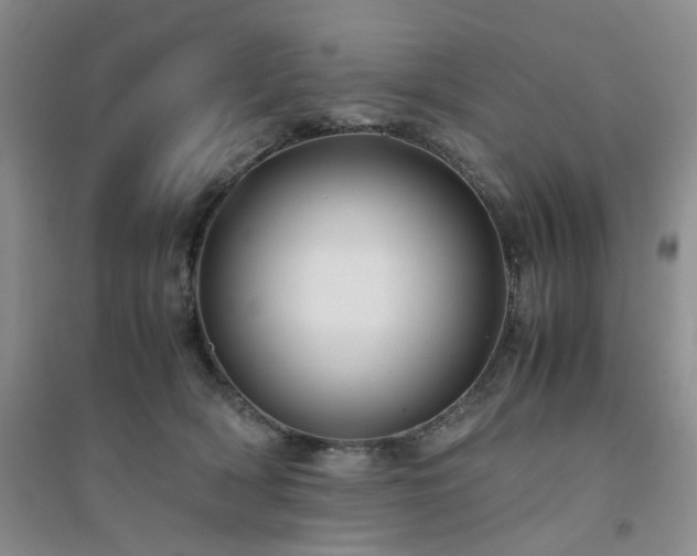 X0000094430418200711151346
