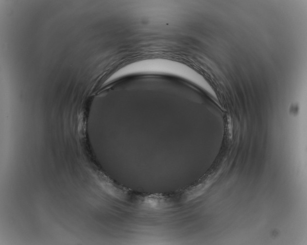 X0000094430420200711151346