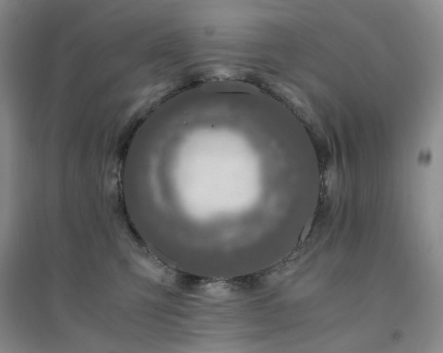 X0000094430423200711151346