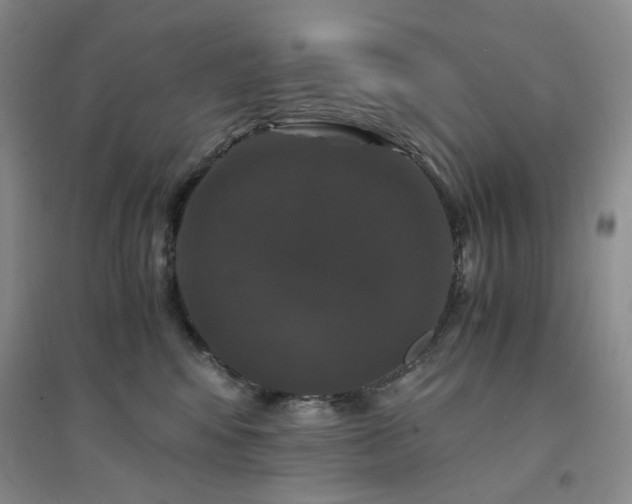 X0000094430424200711151346