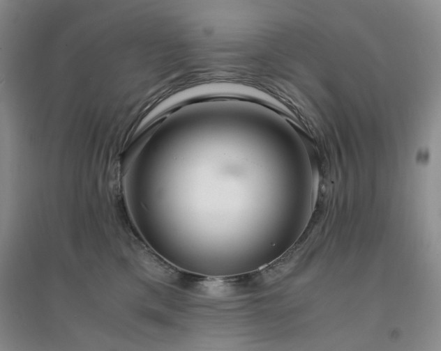 X0000094430425200711151346