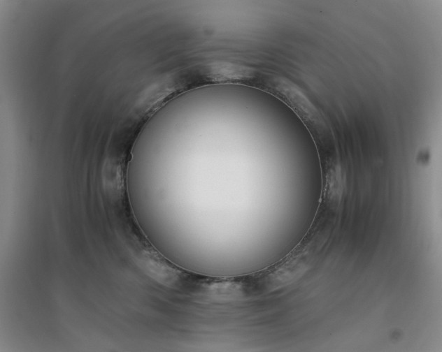 X0000094430426200711151346